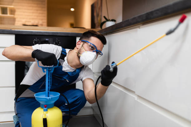 Best Wasp Removal Services  in Covina, CA