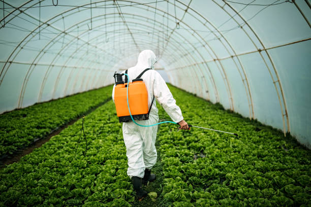 Best Pest Inspection Near Me  in Covina, CA