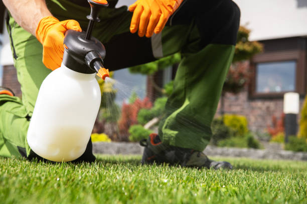 Pest Prevention Services in Covina, CA