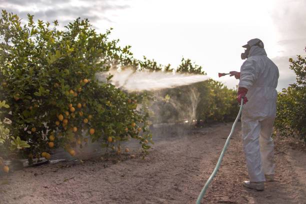 Best Residential Pest Control  in Covina, CA