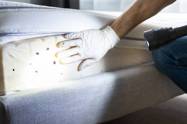 Best Wildlife Control Services  in Covina, CA