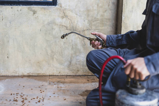 Best Affordable Pest Control Services  in Covina, CA